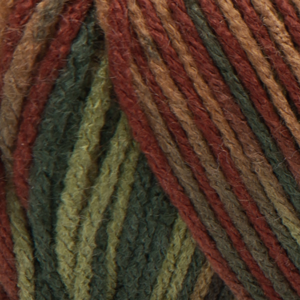 Red Heart Super Saver: Fall