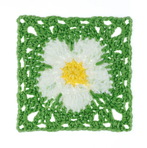 Red Heart Flower Power: Flower Field