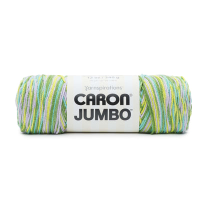 Caron Jumbo: Green Meadows Ombre